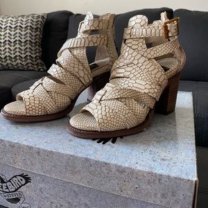 Freebird by Steven Claw in white snakeskin size 6